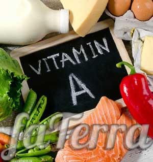 Витамин а какие продукты - фото