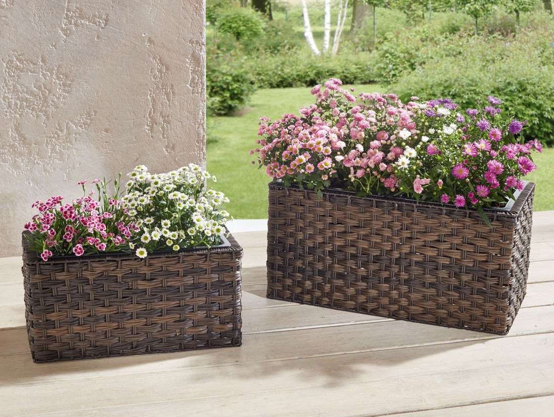 Flower boxes: main features and tips for choosing
